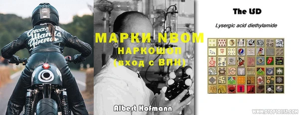 гашик Алексеевка